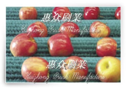 供应毛刷清洗机毛刷，毛刷辊